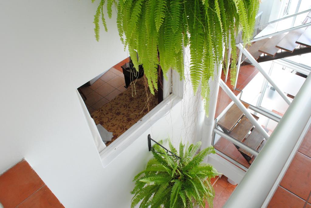 Hotel Romi Colonia del Sacramento Eksteriør billede